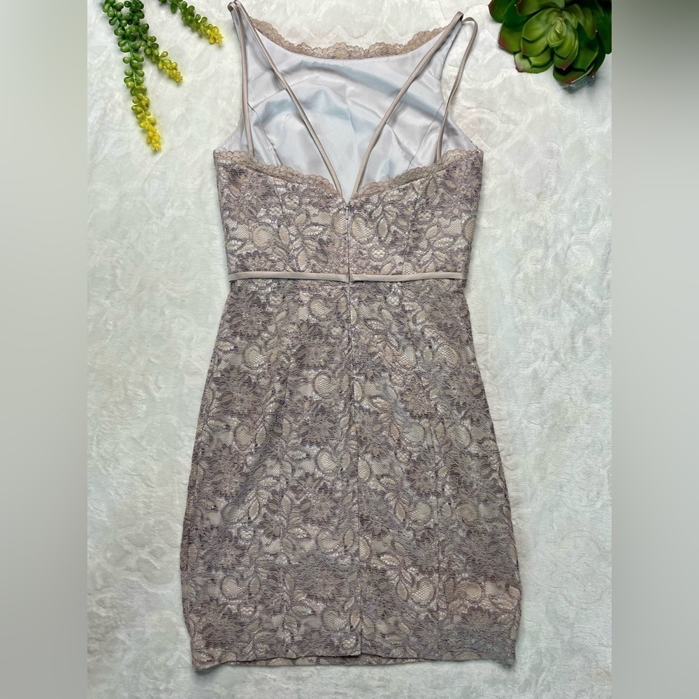 Zac Posen Truly Guipure Lace Sleeveless Special Occasion Dress in Gray Silver 2 - Picture 3 of 16